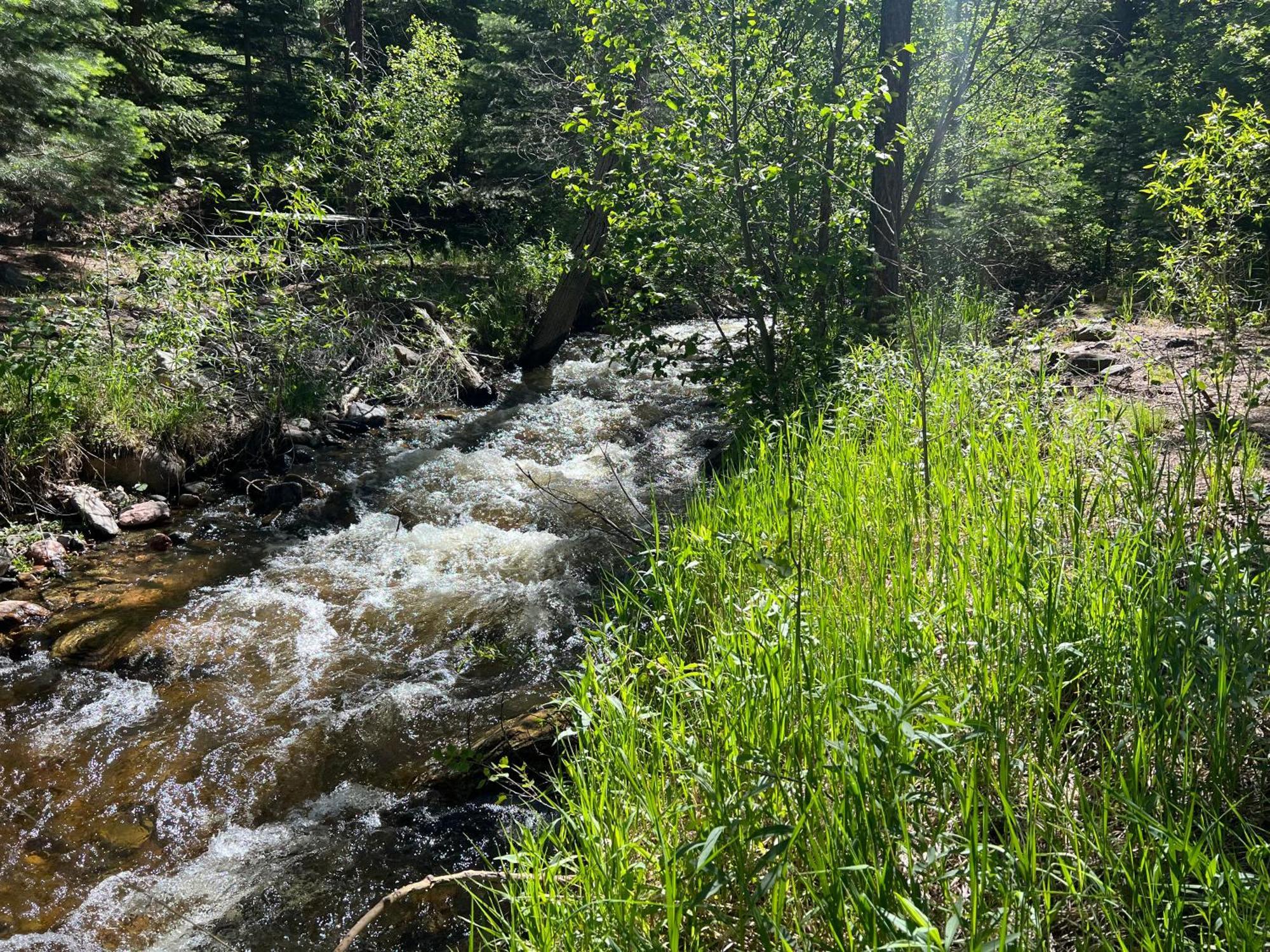Cozy Cabin On The Creek Colorado City Exterior foto